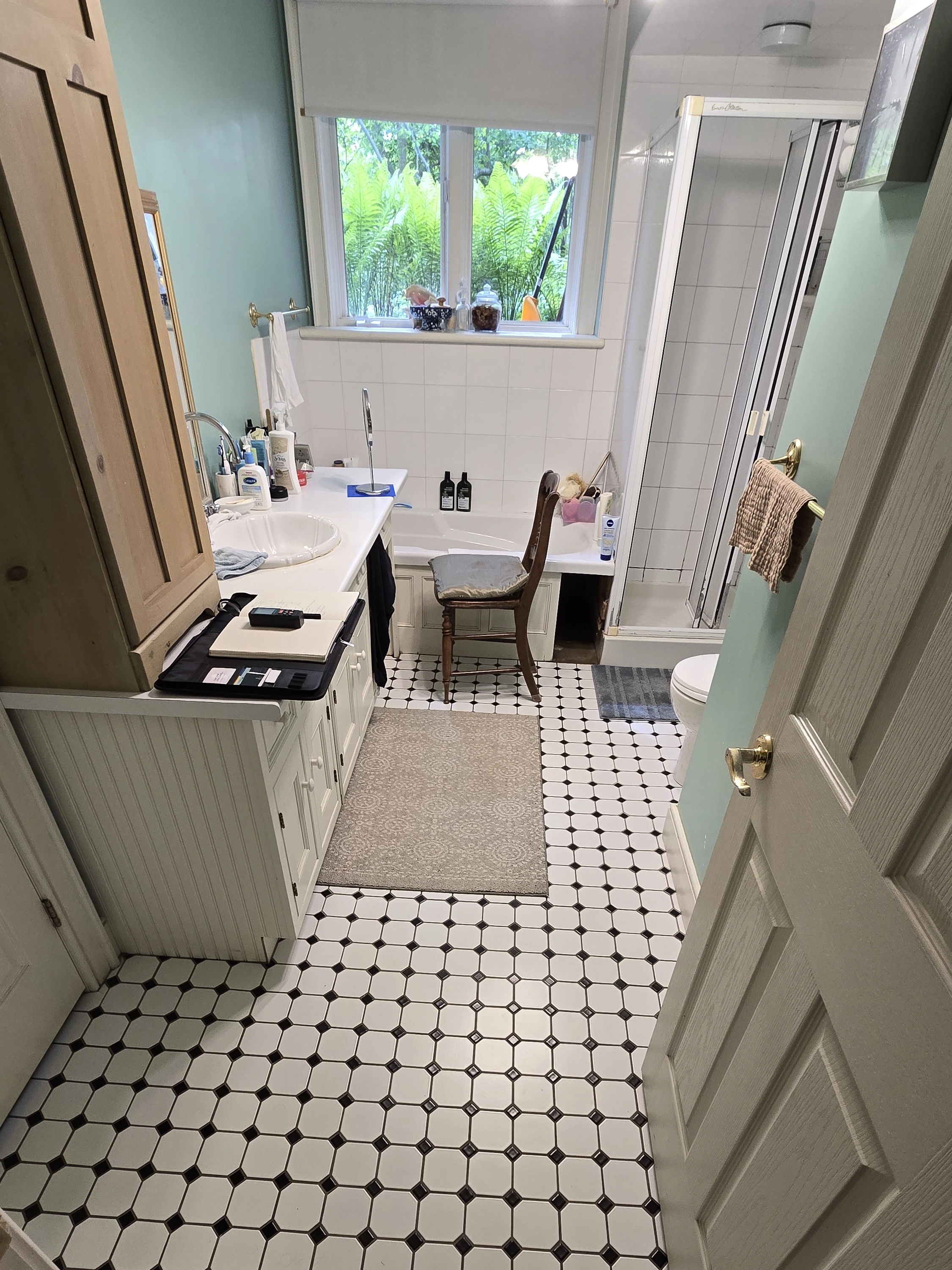 Bathroom renovation before photo Fergus